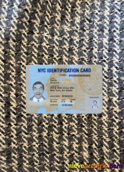 USA New York ID photolook